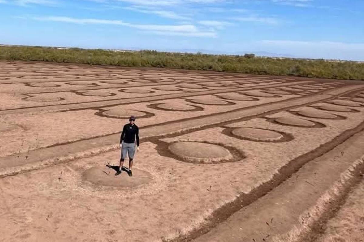 Causan asombro grandes figuras en terrenos de Bahía de Lobos
