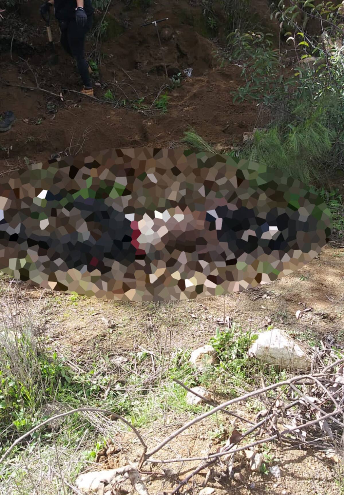 Hallazgo de cuerpos en Hacienda las Delicias III.