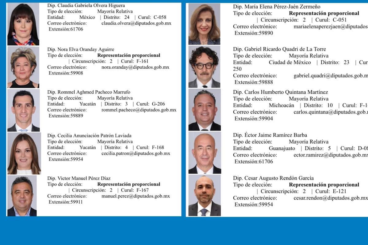 Reforma eléctrica: Quiénes fueron los diputados que votaron en contra y que Morena los llamó traidores a la patria