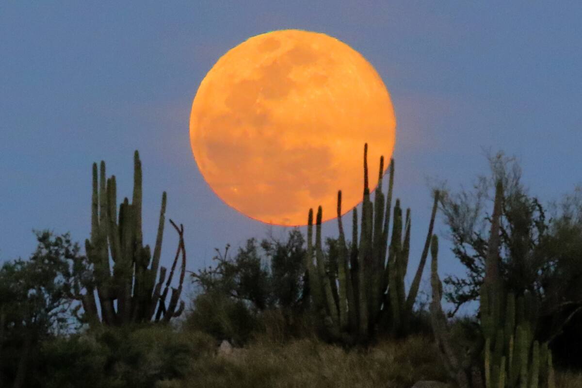 De la lunas, la más bonita es la octubre.