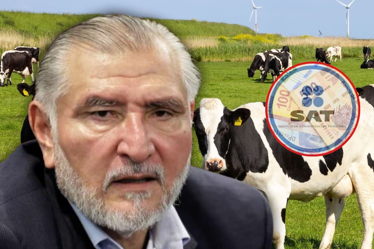 Adán Augusto, ¿es ganadero? Revela que gana 24 millones de pesos al año por ganadería y los reporta ante el SAT