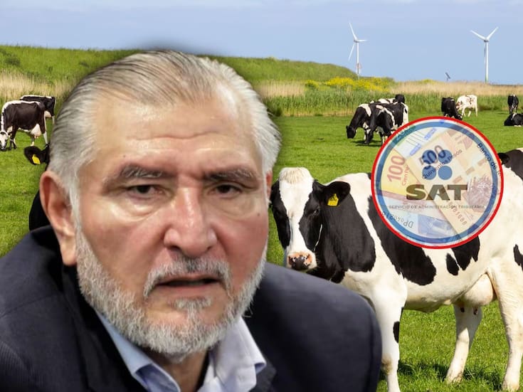 Adán Augusto, ¿es ganadero? Revela que gana 24 millones de pesos al año por ganadería y los reporta ante el SAT