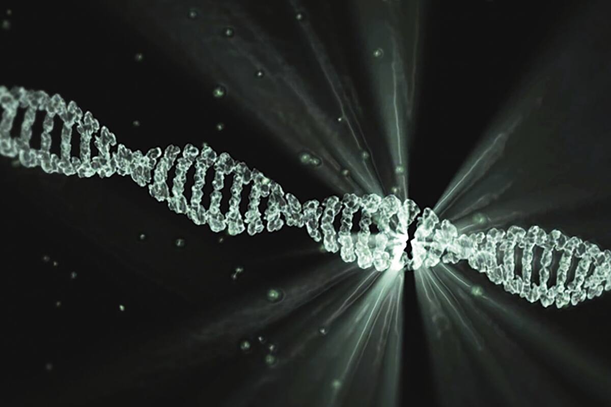 Identifican cómo se reparan los daños en el ADN por el alcohol o contaminación