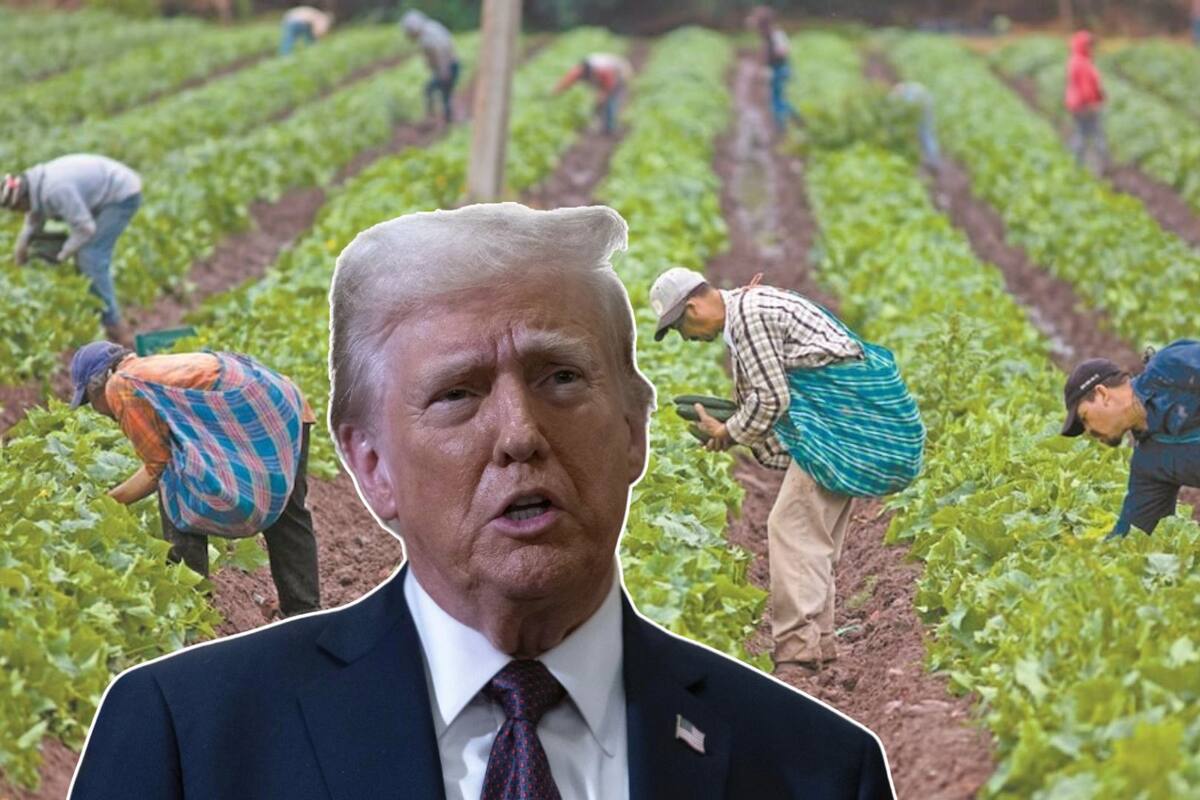 Empresas de EU reportan bajas en producción por deportaciones de migrantes