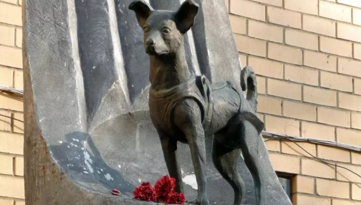 Estatua de Laika en Moscú./Foto: Times Now.