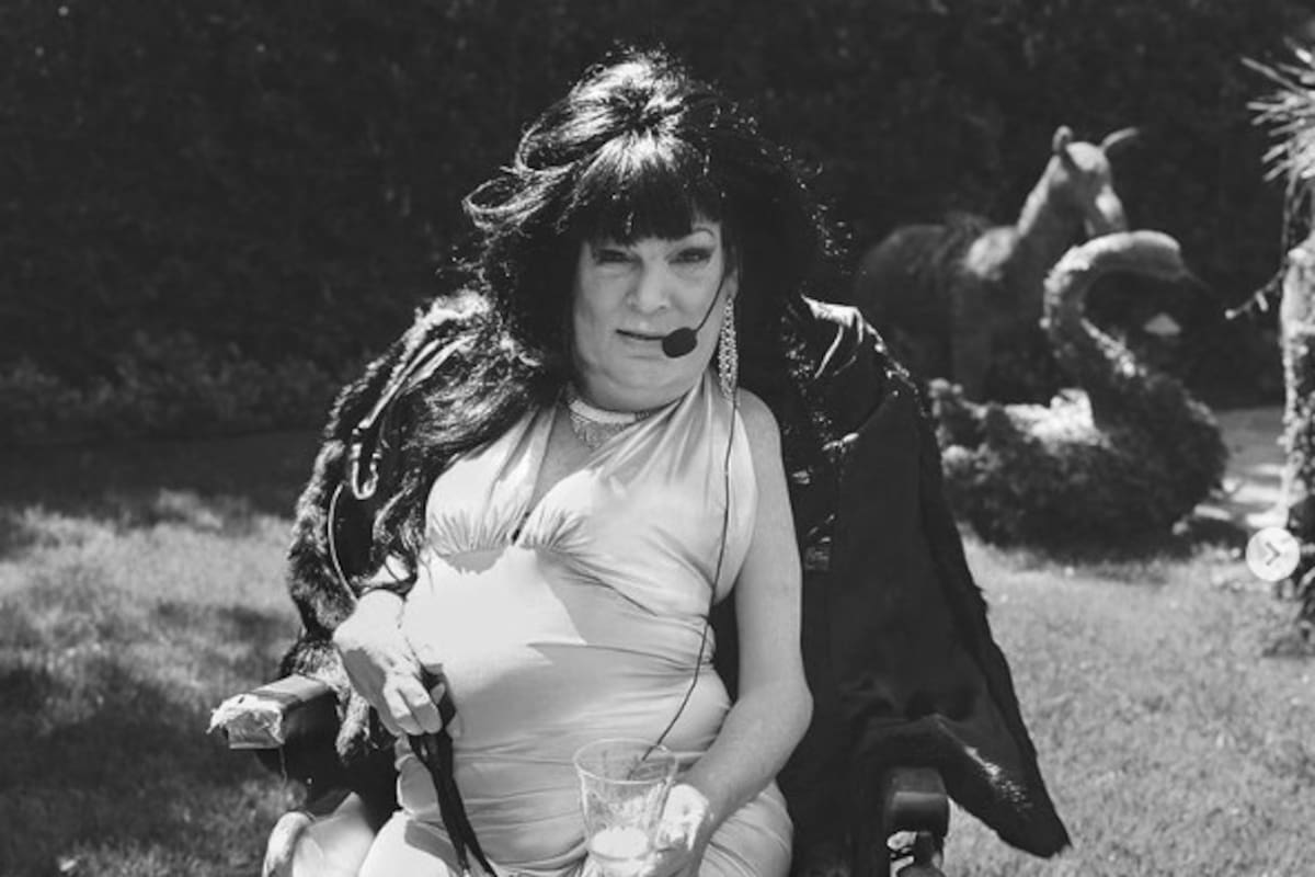 Conoce la verdadera historia de “Obedece a la Morsa”, el video viral