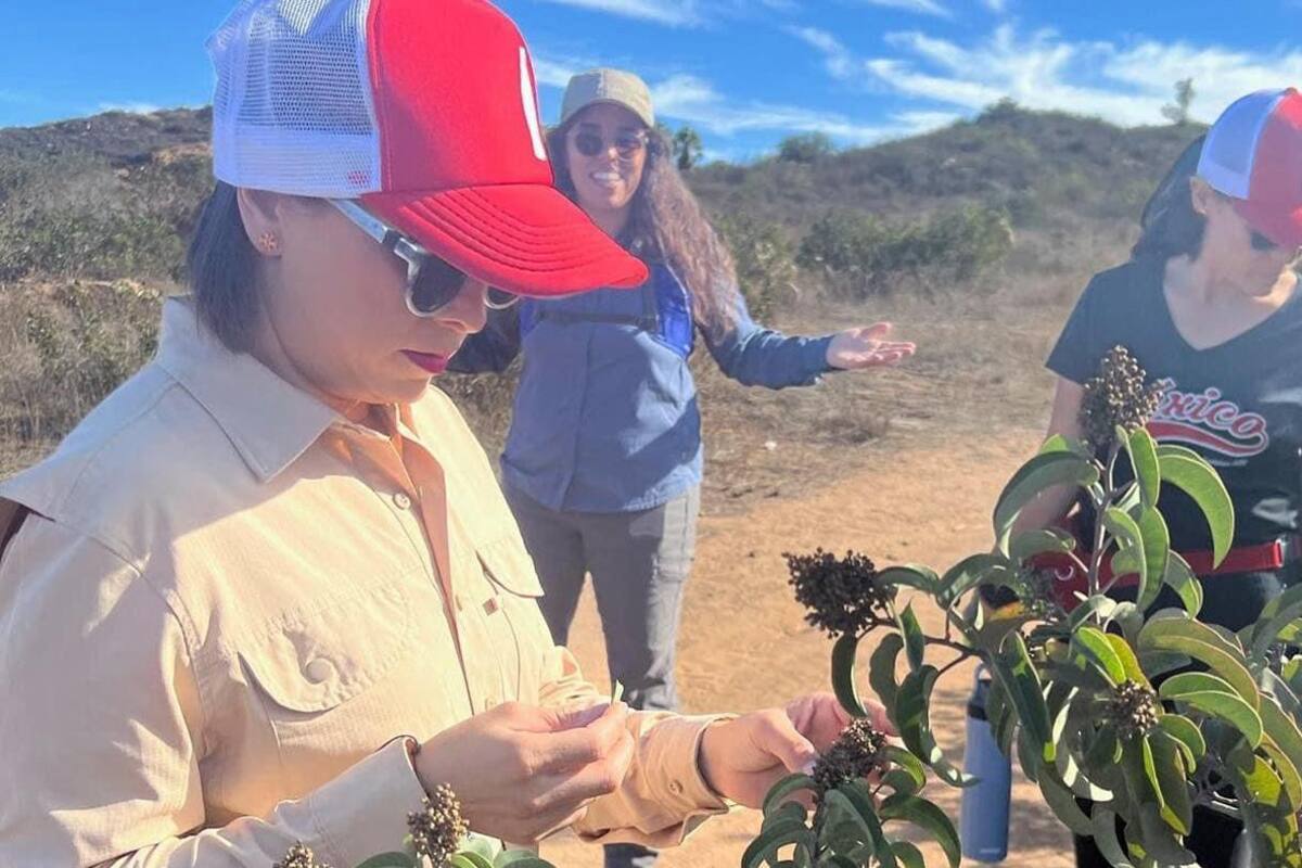 Secretaría de medio ambiente llama al cuidado de plantas nativas en zona Este de Tijuana