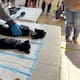 Realizarán campaña de esterilización para perros y gatos