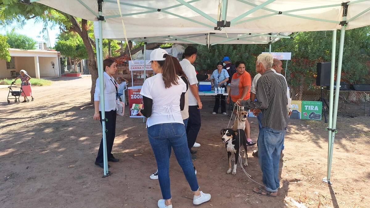 Atienden colonias con 
 presencia de garrapatas en Cajeme
