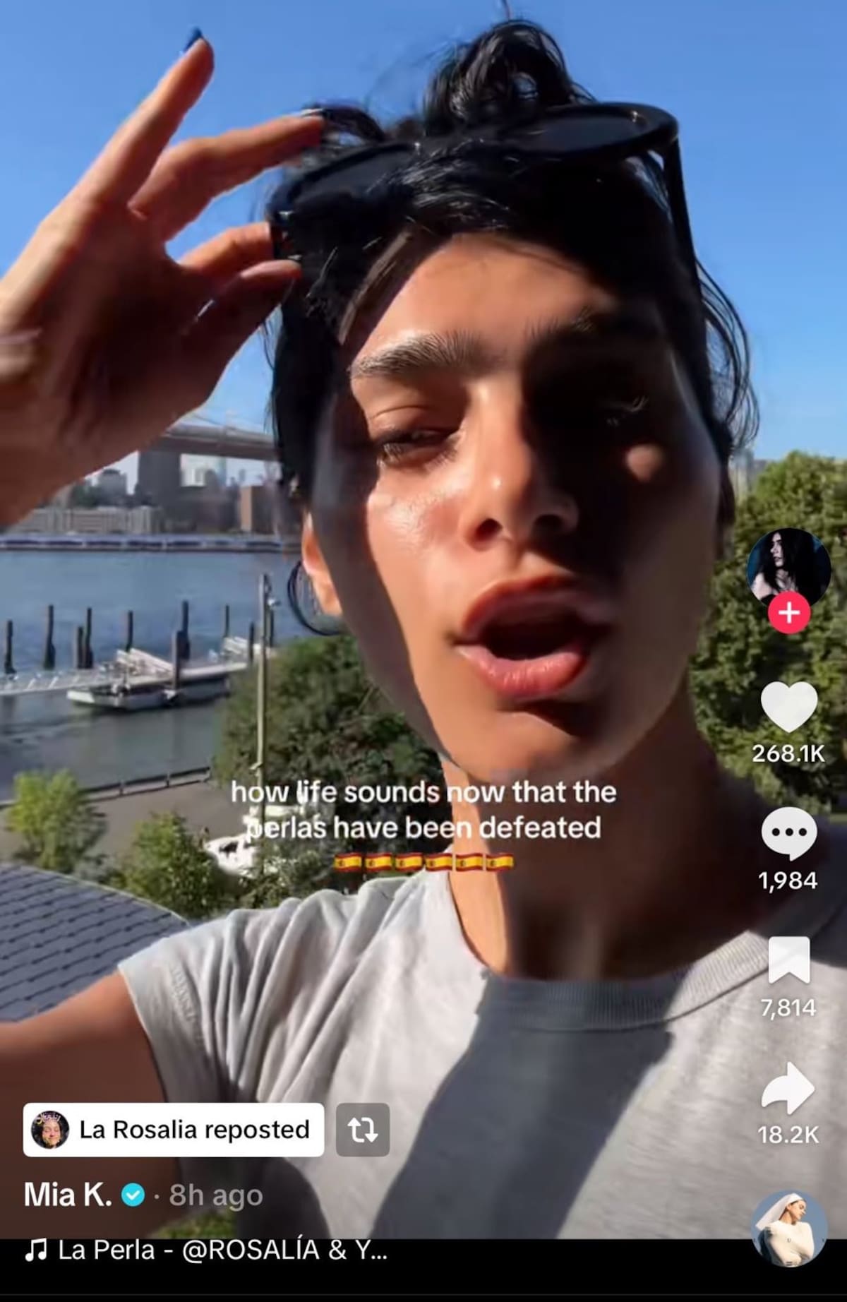 La cantante reposteó el video de Mia.