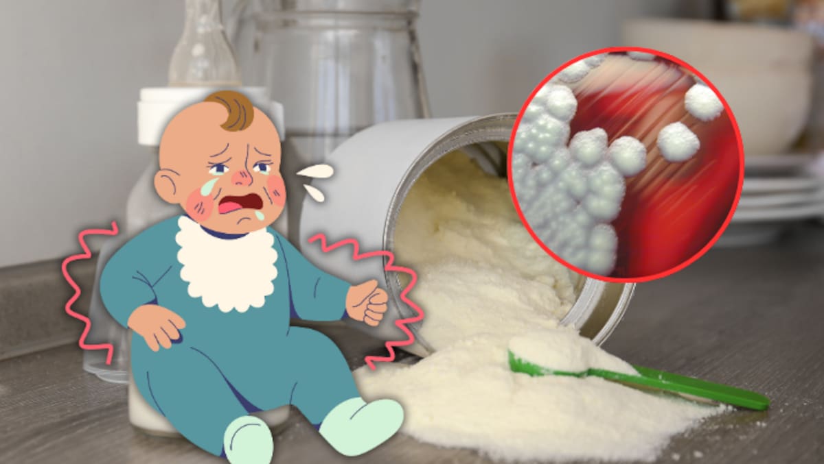 Foto: Canva/Larry Stauffer, Oregon State Public Health Laboratory.