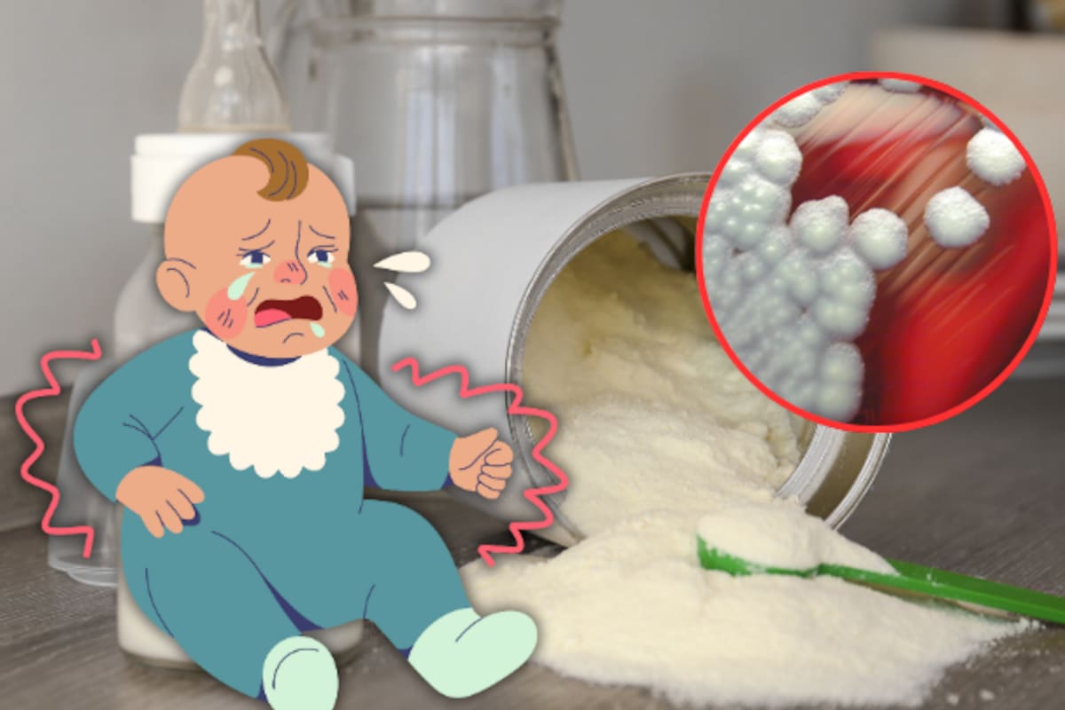 Cereulida: La toxina detrás del retiro mundial de leche infantil en polvo que afectó marcas como NESTLÉ y DANONE