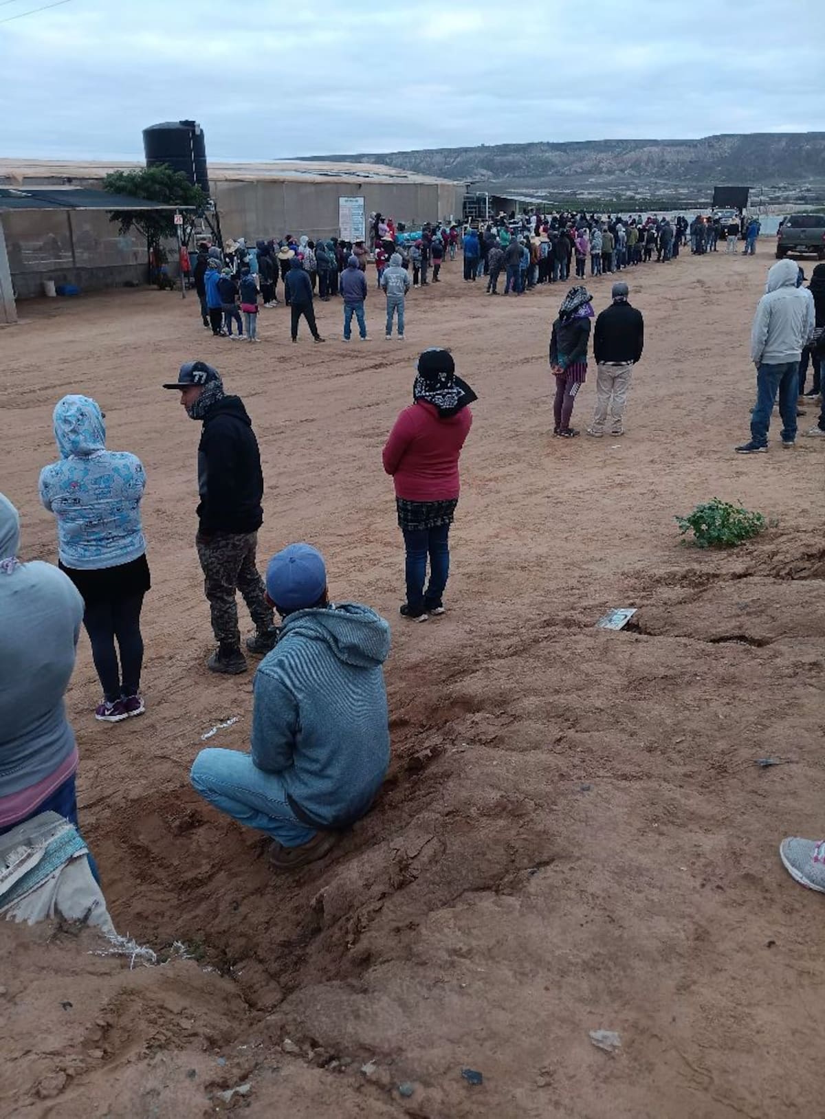 Los jornaleros agrícolas de San Quintín tendrán acceso a mejores condiciones laborales, de vivienda y salud. Foto. Cortesía