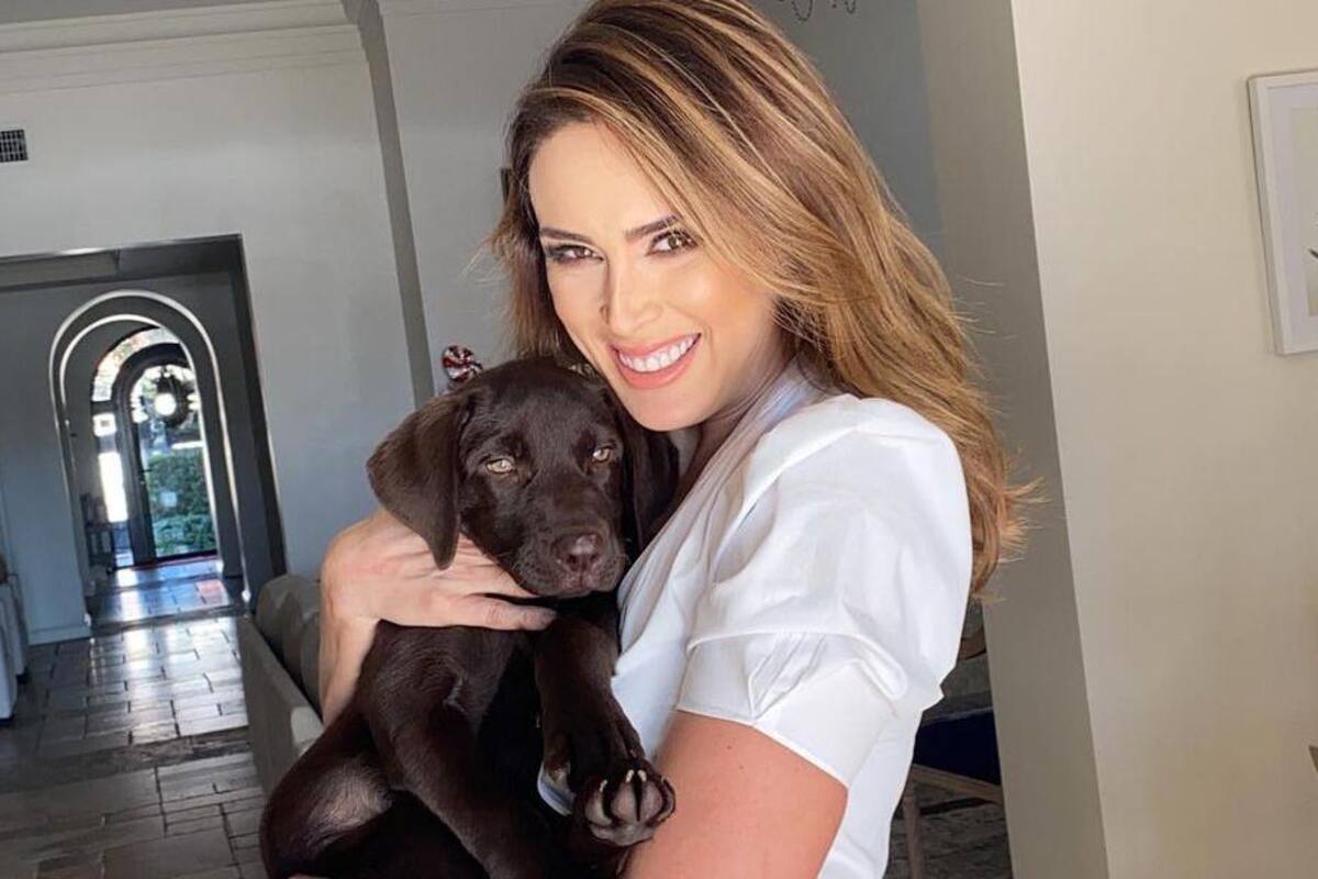 "Grafitean" una pared de la casa de Jacqueline Bracamontes