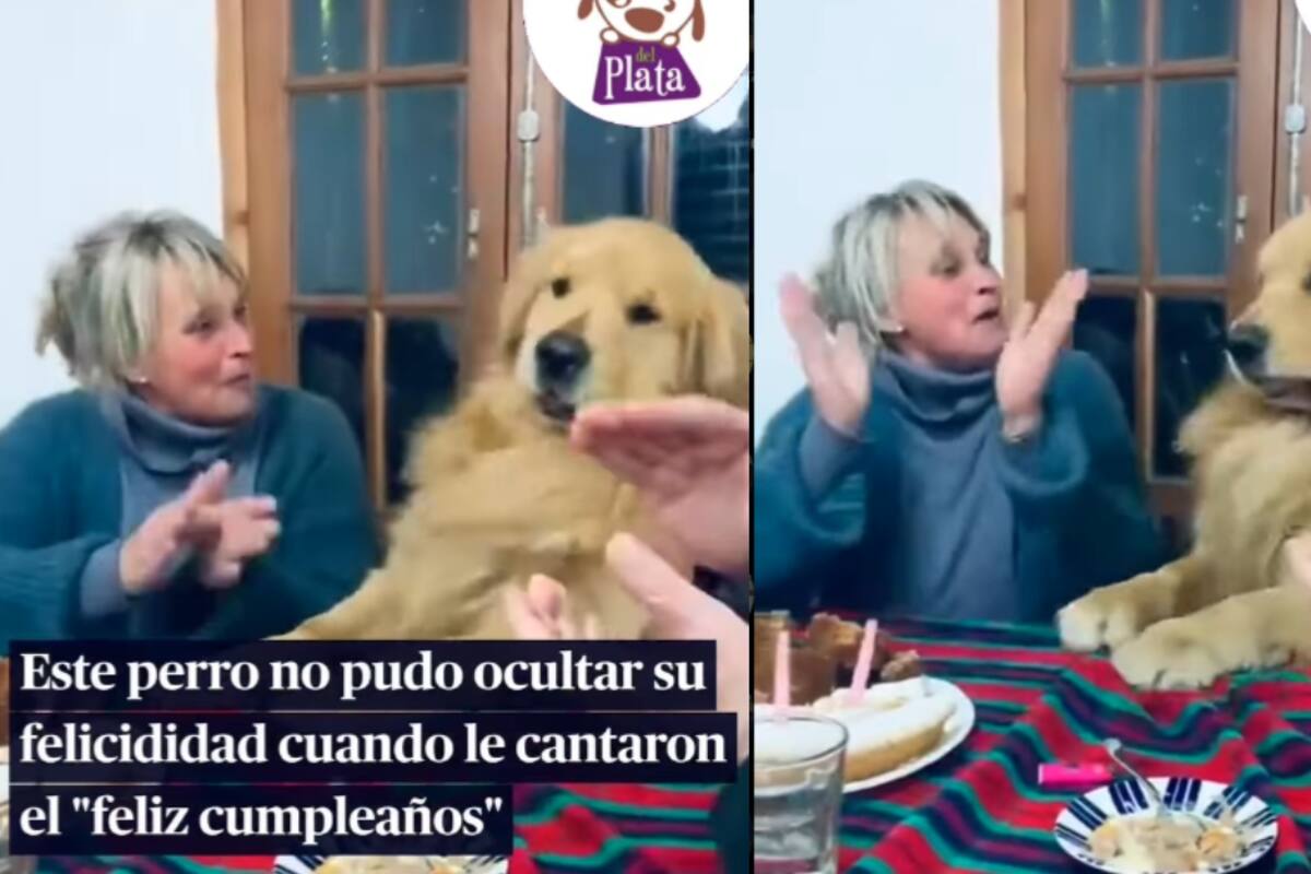Perro no puede ocultar su emoción cuando sus dueños le están cantando “Feliz cumpleaños”