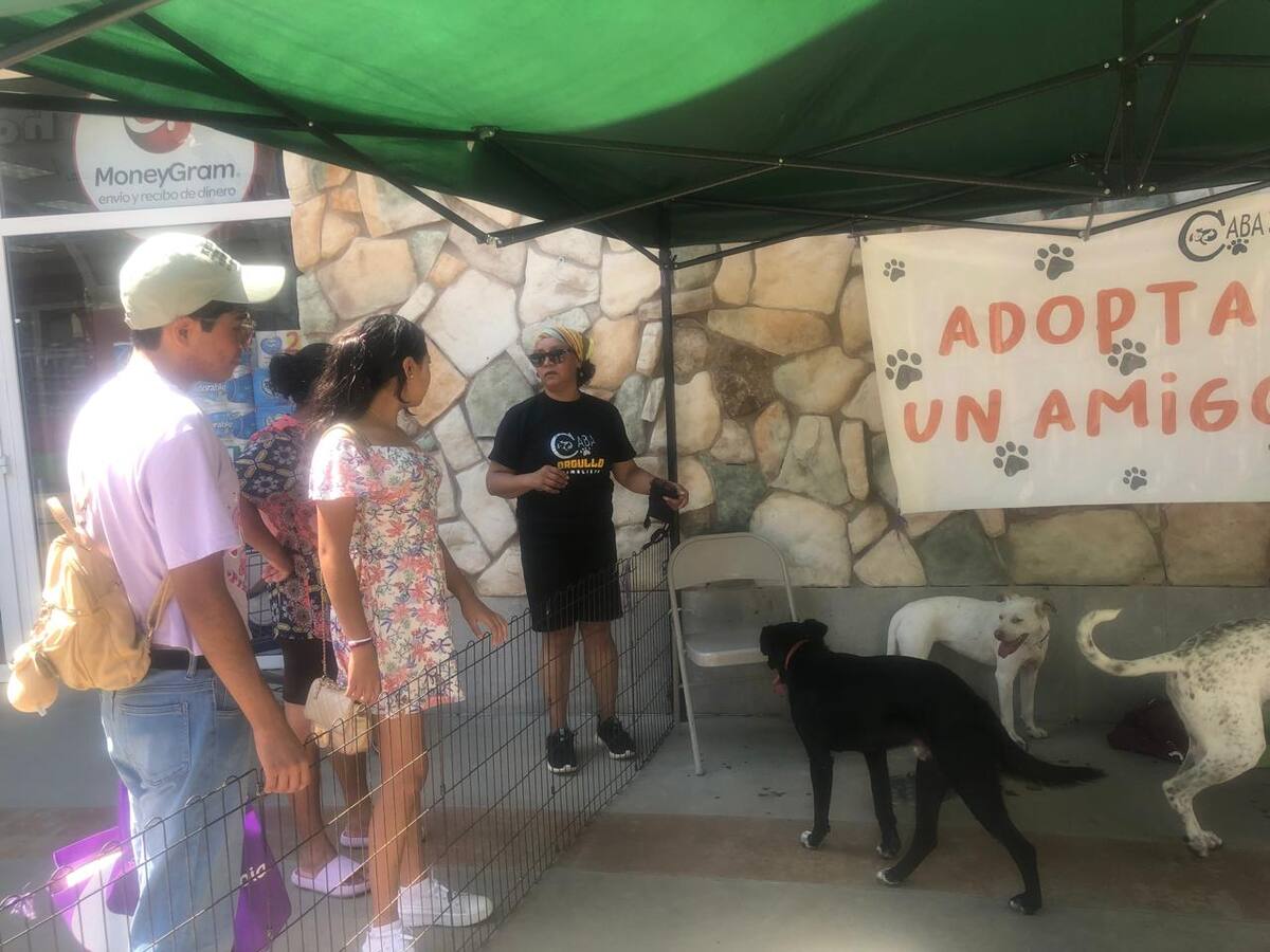 Foto: Carmen Gutiérrez