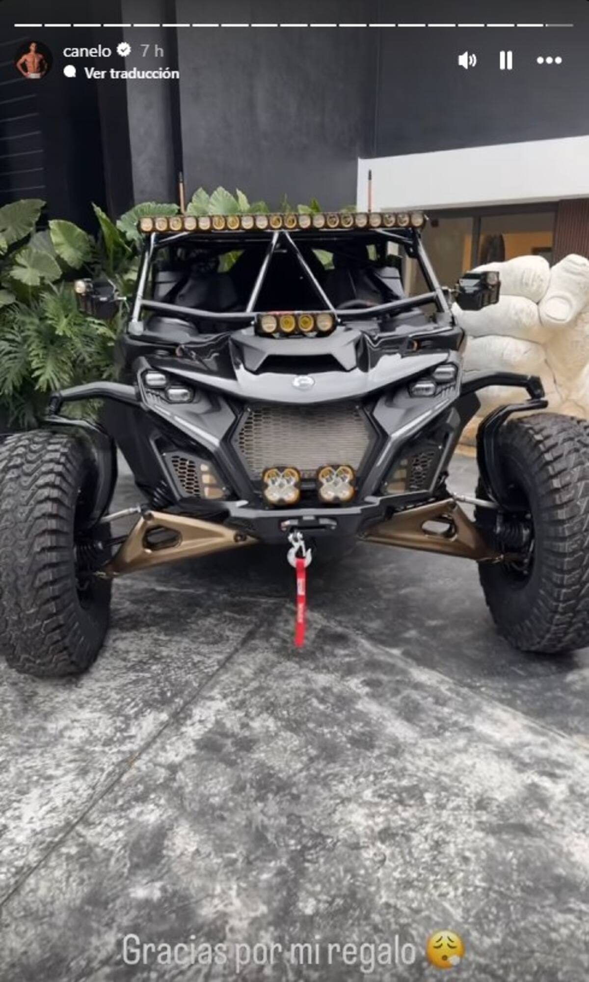 "Canelo" Álvarez presumió su regalo de cumpleaños en una historia de Instagram. / Foto: Instagram @Canelo.
