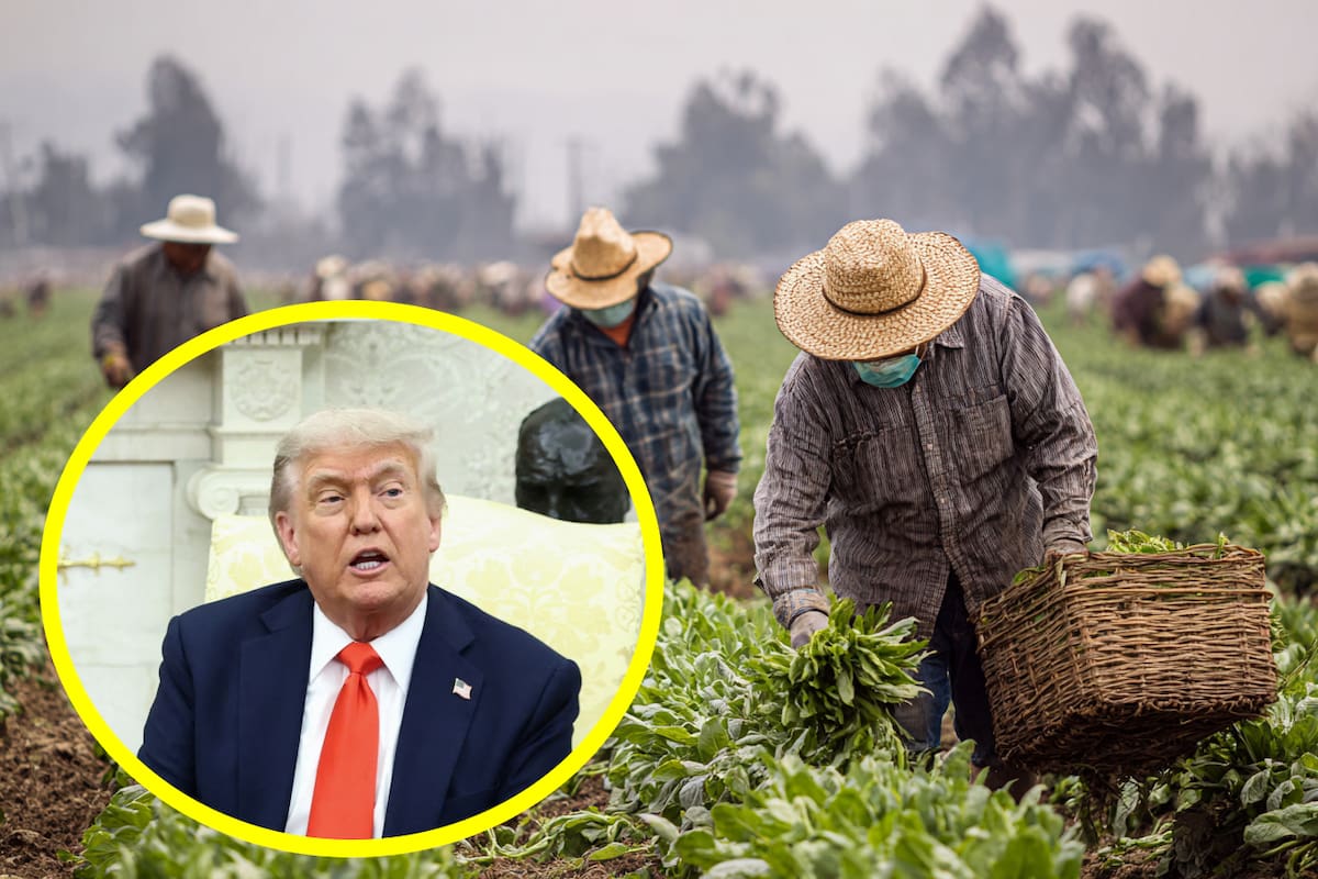 El 60% de los trabajadores agrícolas en EU son mexicanos, lo que refleja una profunda dependencia de la mano de obra migrante para mantener la producción agrícola estadounidense.