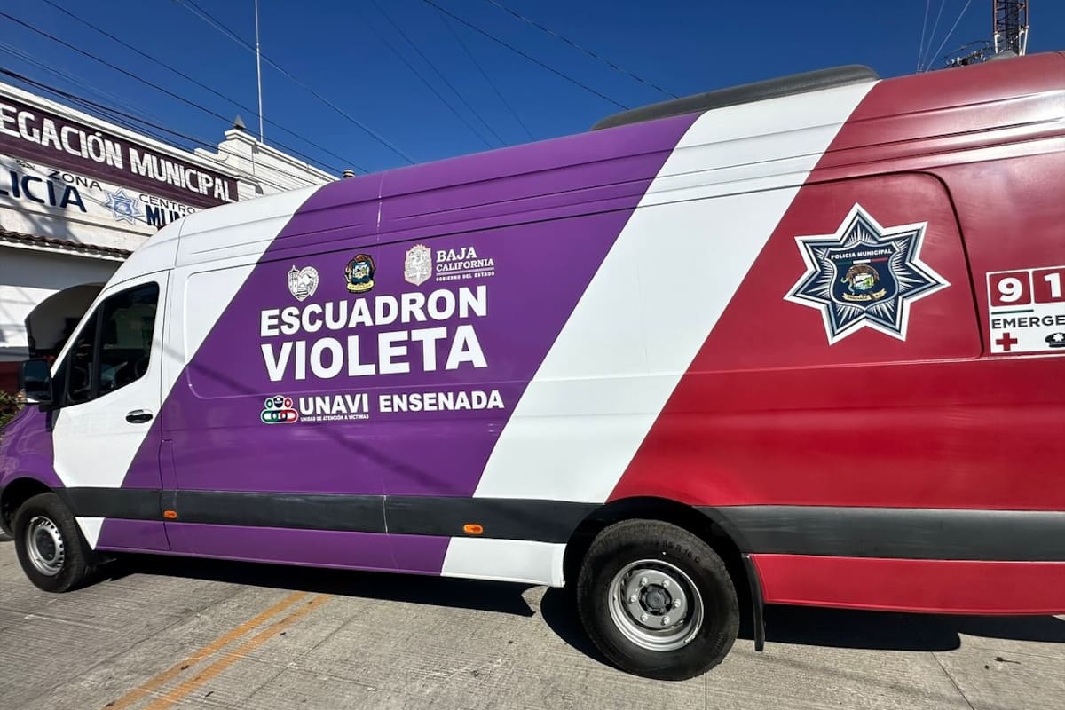 20% de los delitos en Ensenada son de violencia intrafamiliar