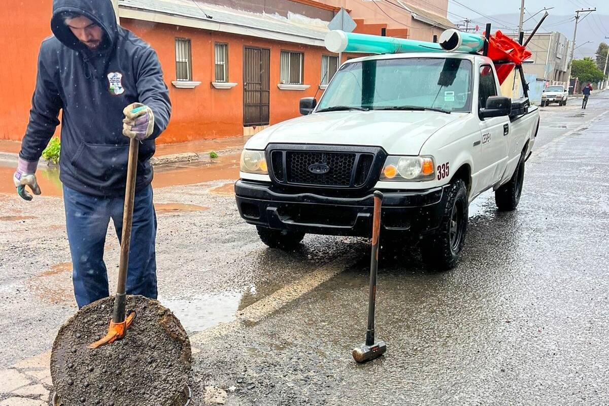 Exhorta Cespe a mantener los patios limpios