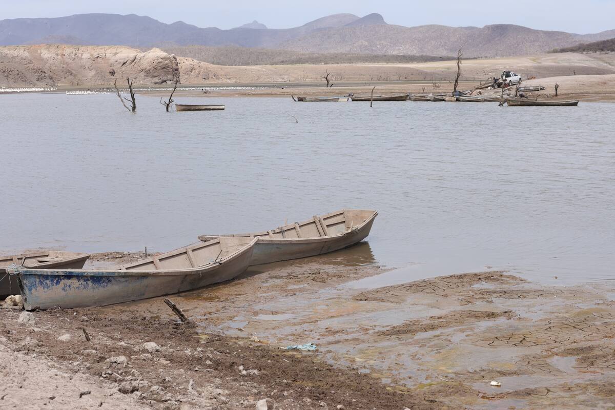 Recibe aportaciones “El Mocúzari”, pero no es suficiente: Productores
