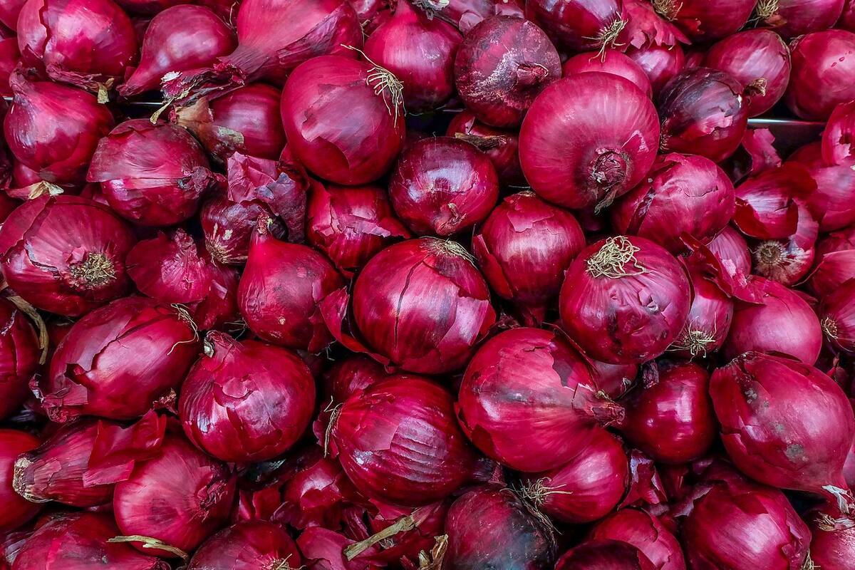 Compra 28 toneladas de cebolla para hacerse pasar por vendedor y poder circular en pleno confinamiento