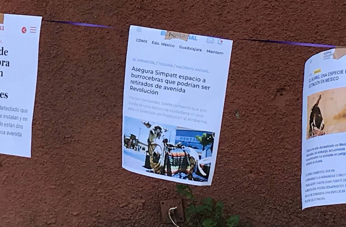 Los miembros del colectivo. montaron un tendedero con notas periodísticas sobre el tema.