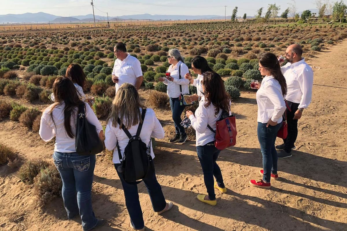 AatopBC promueve familiarización de agencias con el Valle