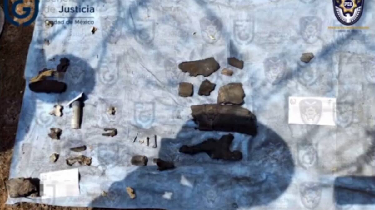 Según Ulises Lara López, titular de la institución, los restos hallados son de origen animal, específicamente de perros (Fiscalía CDMX)