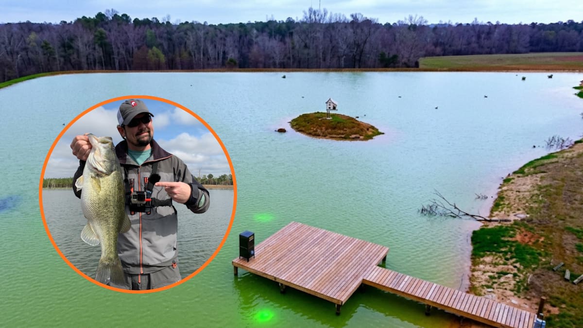 Construyó un lago artificial para criar peces en Alabama y, casi mil días después, el estanque se convirtió en refugio para águilas calvas, ciervos, búhos y otras especies que llegaron por su cuenta