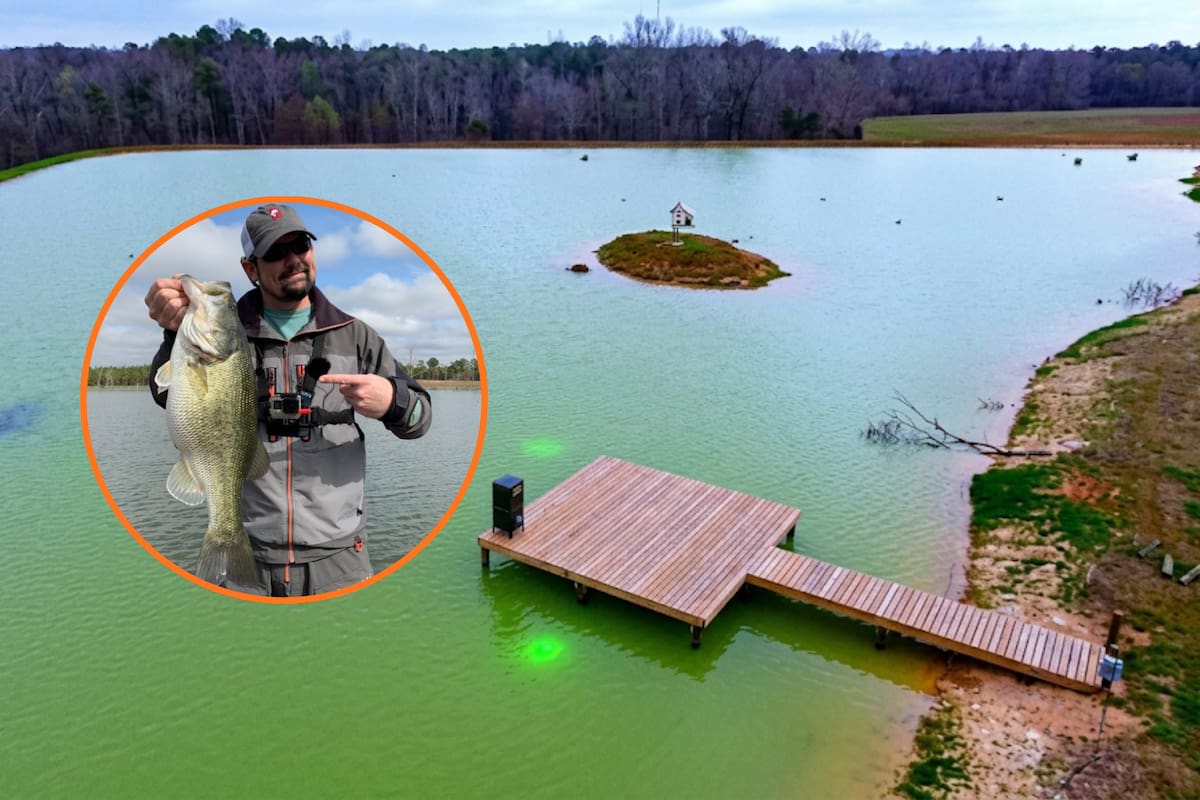 Construyó un lago artificial para criar peces en Alabama y, casi mil días después, el estanque se convirtió en refugio para águilas calvas, ciervos, búhos y otras especies que llegaron por su cuenta