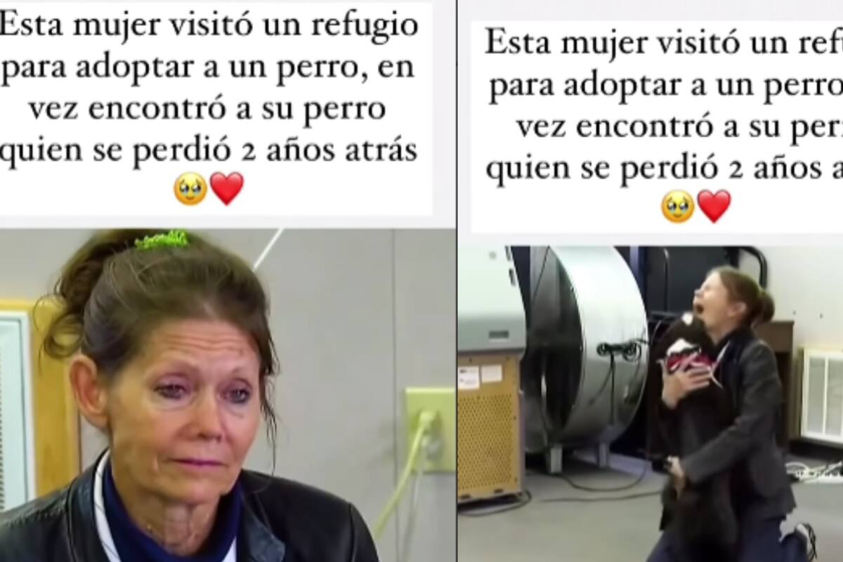 Mujer visita refugio para adoptar un perro y encuentra al suyo, perdido hace más de 2 años
