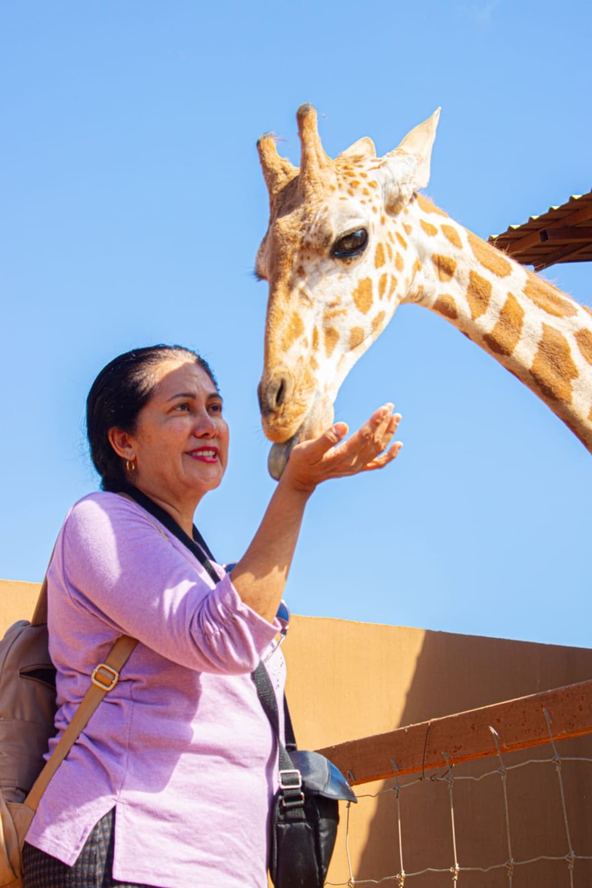 Han trabajado en la creación de espacios adecuados para cada especie.