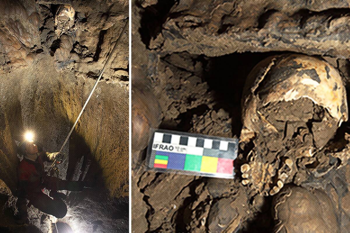 ¿Cómo pudo llegar un cráneo prehistórico hasta una altura inaccesible de una cueva italiana?