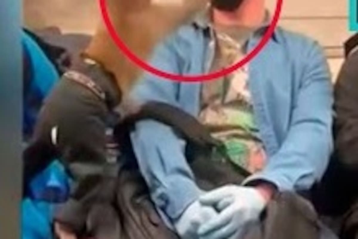 Primate trata de hurtar cubrebocas de pasajero en metro