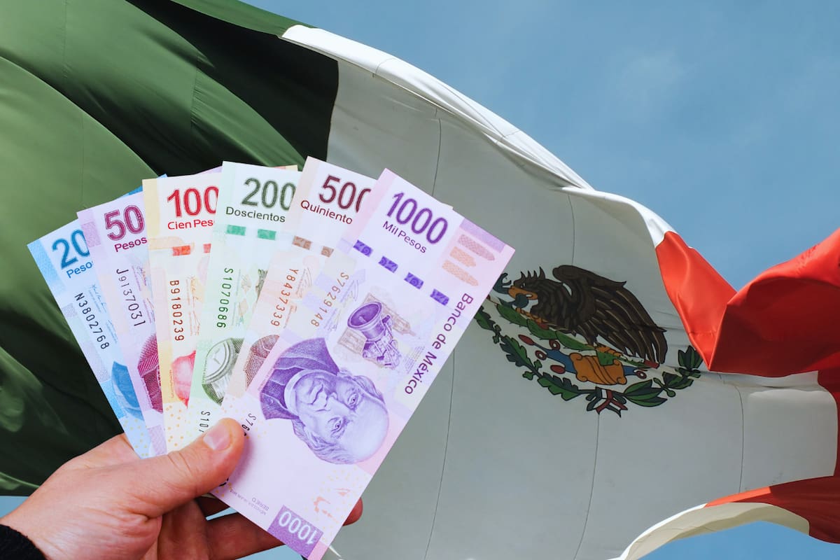 ¿Tu empresa no pagó utilidades? Esto es lo que dice la ley y cómo puedes actuar