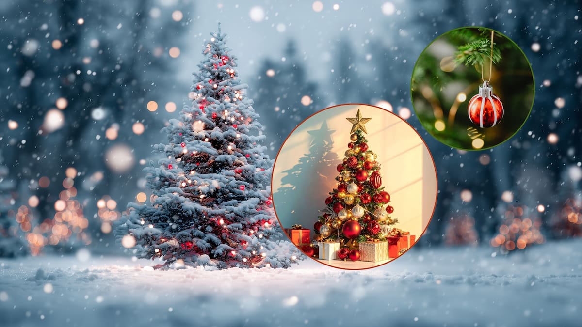 El árbol de navidad: Por qué se usa un Pino y no otro árbol, según historiadores y tradiciones