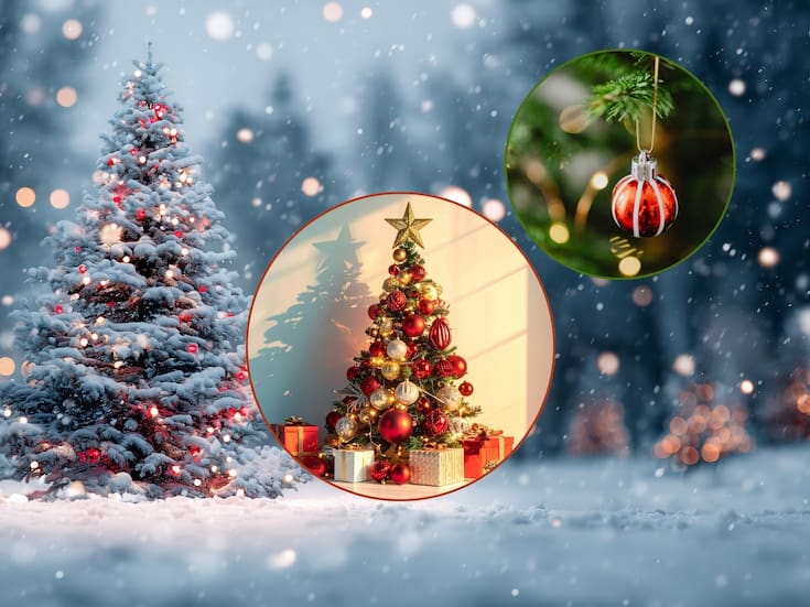 El árbol de navidad: Por qué se usa un Pino y no otro árbol, según historiadores y tradiciones