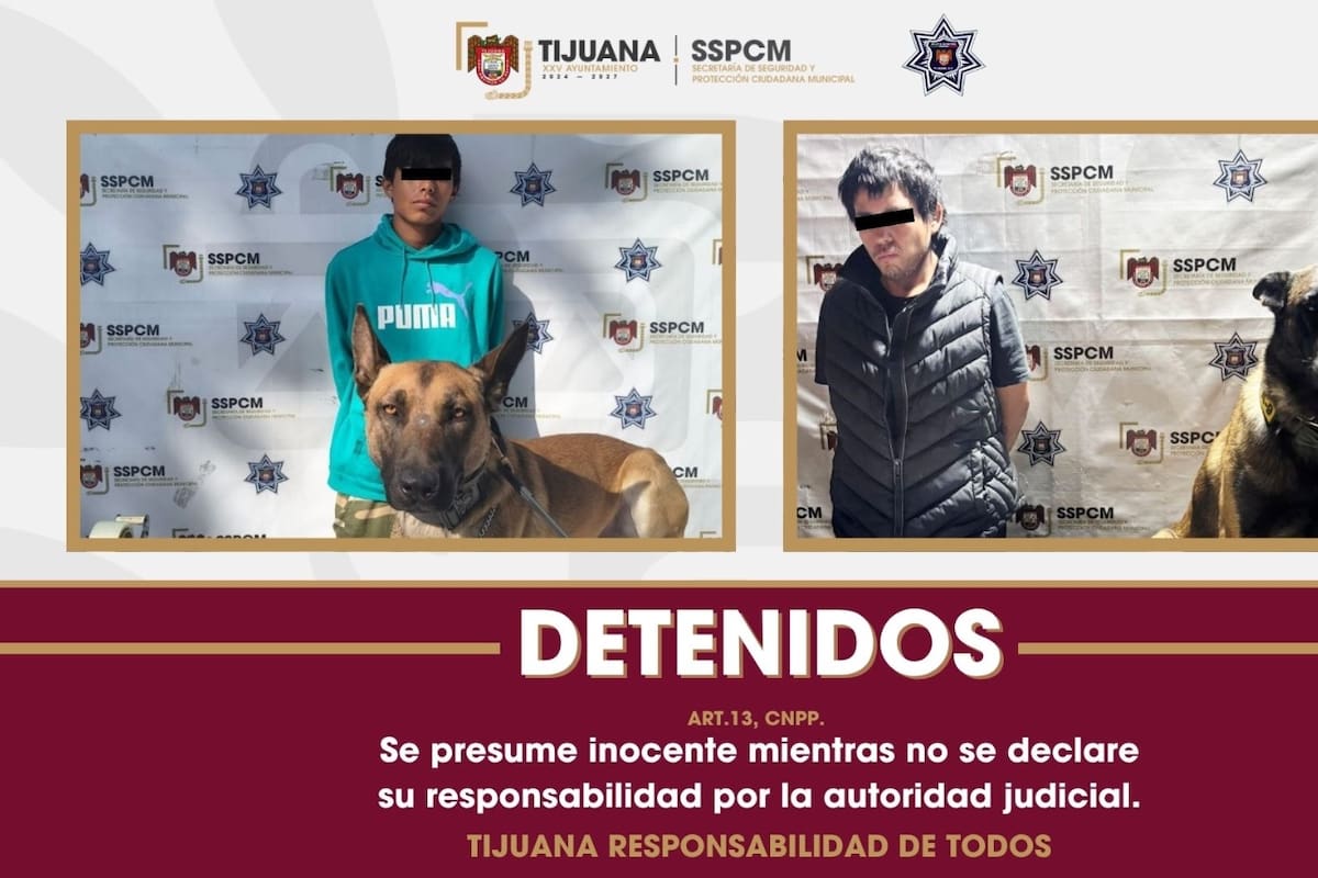 Detiene Unidad K9 a dos personas con presunta droga en distintos puntos de la ciudad
