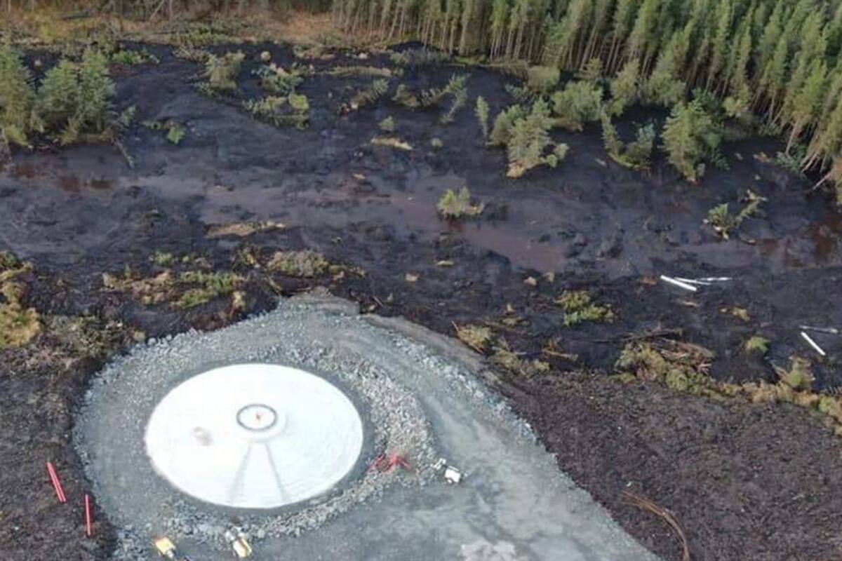 Un paisaje entero con árboles resbala por una ladera tras un deslizamiento de turba
