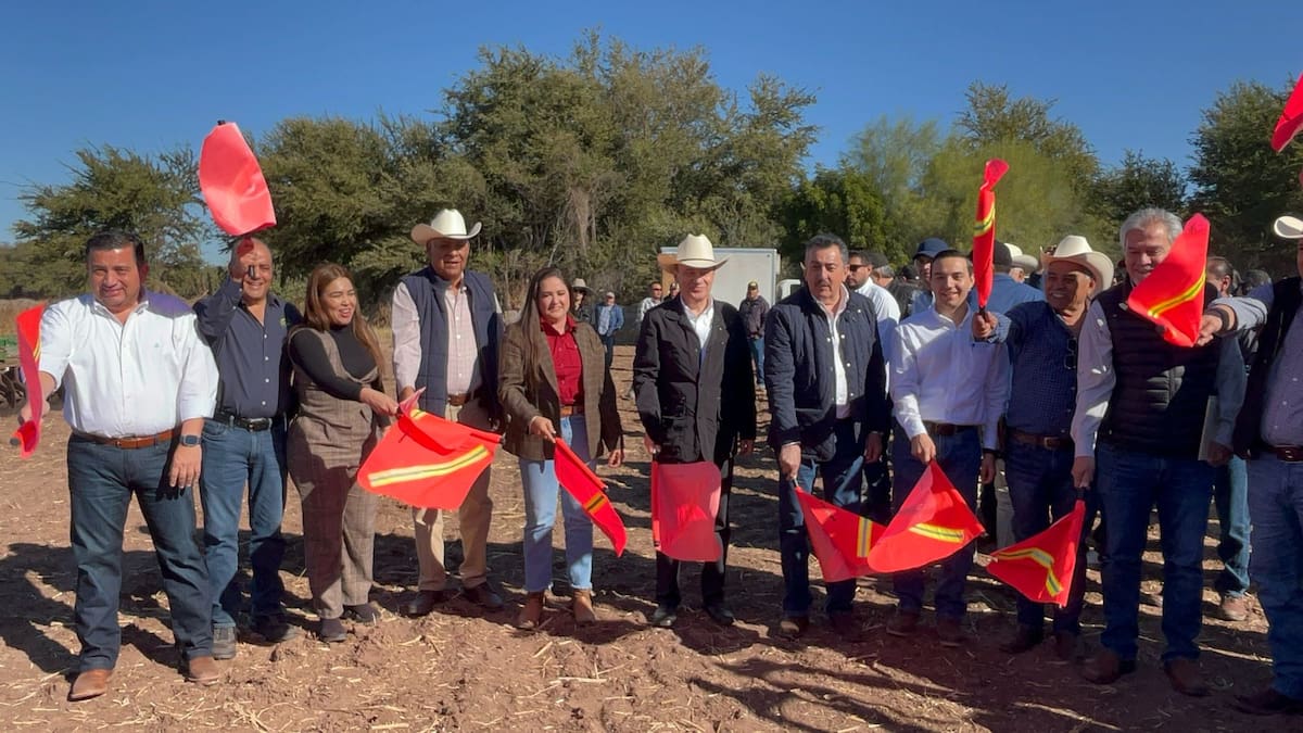 Arranca plan emergente fitosanitario en el Valle del Yaqui