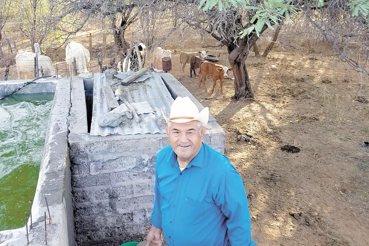 Aprovecha su tiempo y crea un huerto en casa