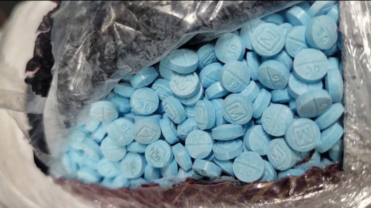 Interceptan cargamento con distintos narcóticos en garita de Nogales. | Cortesía