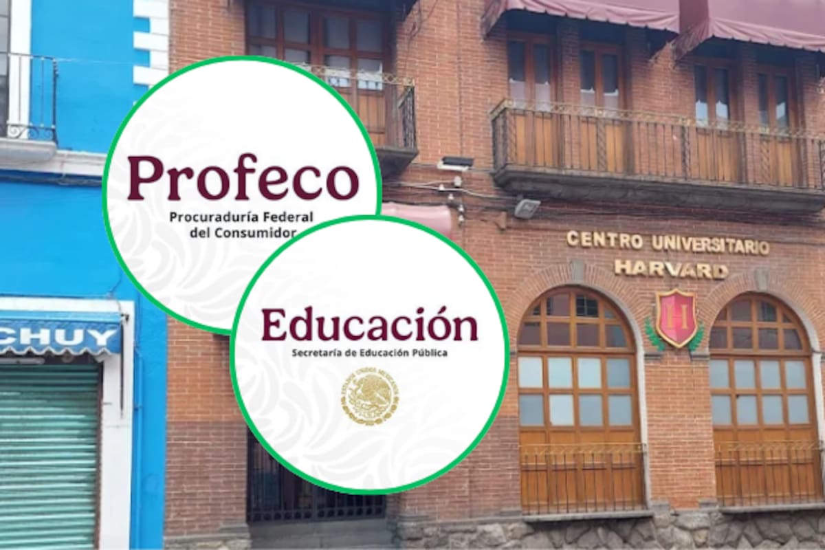 SEP y Profeco suspenden “Harvard” de Puebla: Ofrecían títulos universitarios sin validez oficial; ¿Cómo verificar la validez oficial de una escuela o carrera?