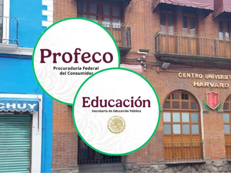 SEP y Profeco suspenden “Harvard” de Puebla: Ofrecían títulos universitarios sin validez oficial; ¿Cómo verificar la validez oficial de una escuela o carrera?