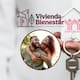 ¿Cómo son las casas de Vivienda para el Bienestar de Infonavit? El programa que busca hogares dignos y accesibles