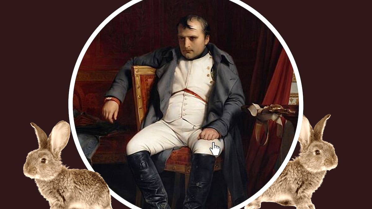La vez que Napoleón Bonaparte fue derrotado por conejos: conoce la curiosa historia