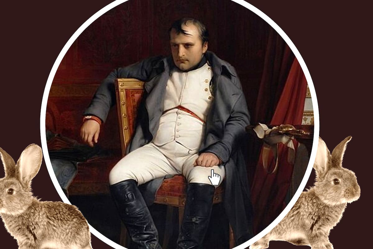 La vez que Napoleón Bonaparte fue derrotado por conejos: conoce la curiosa historia