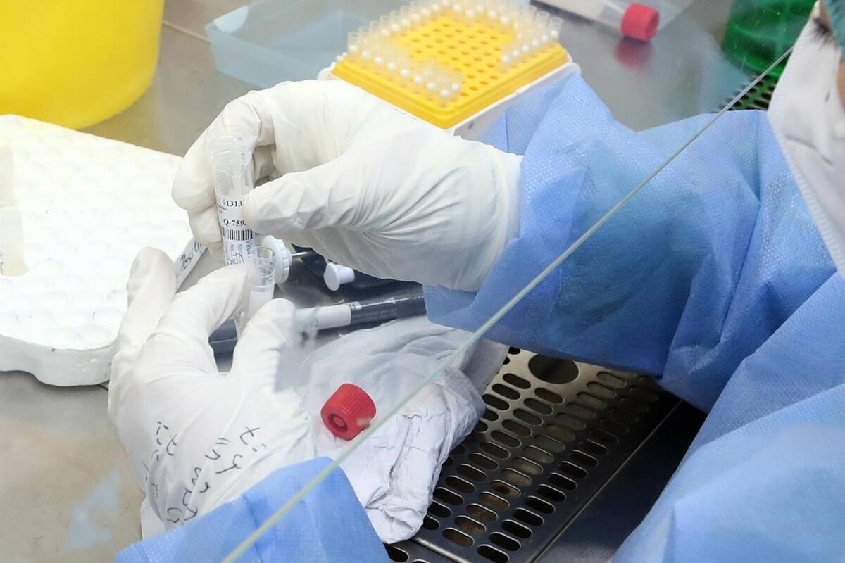Coronavirus: Estados Unidos descarta que Covid-19 sea "arma biológica"