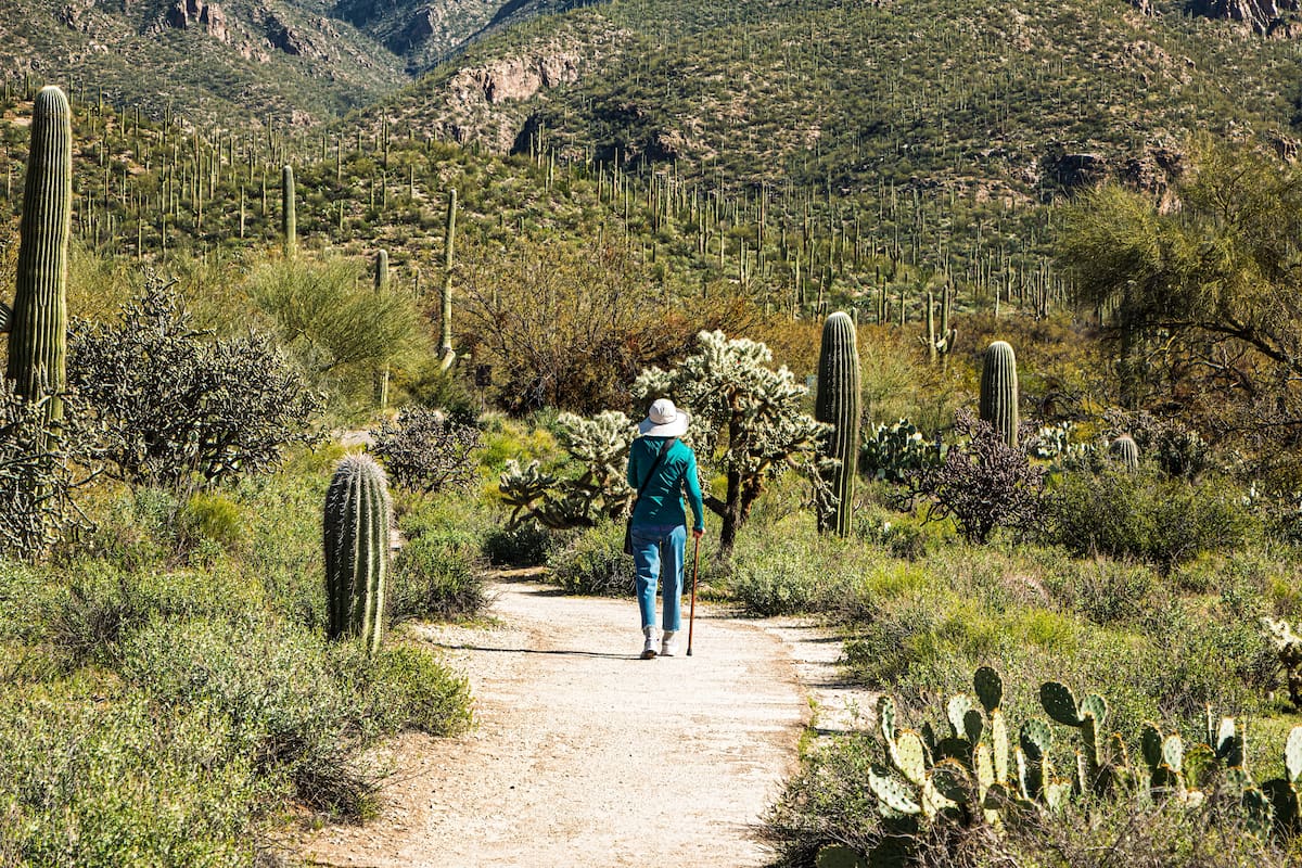 Visita Sabino Canyon esta temporada
